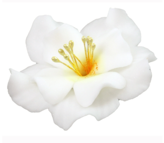 Cukrový kvet Magnólia biela 1ks