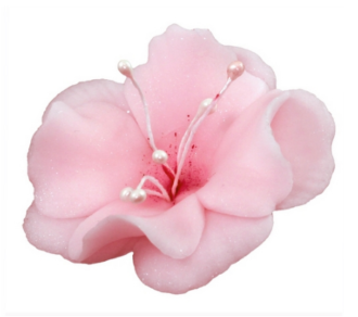 Cukrový kvet Magnólia ružová malá 1ks
