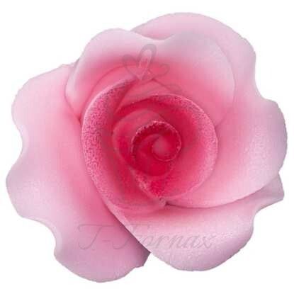 Cukrová Ruža L ružová tieňovaná 1ks