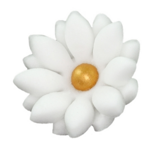 Cukrový kvet Aksamitka biela 1ks