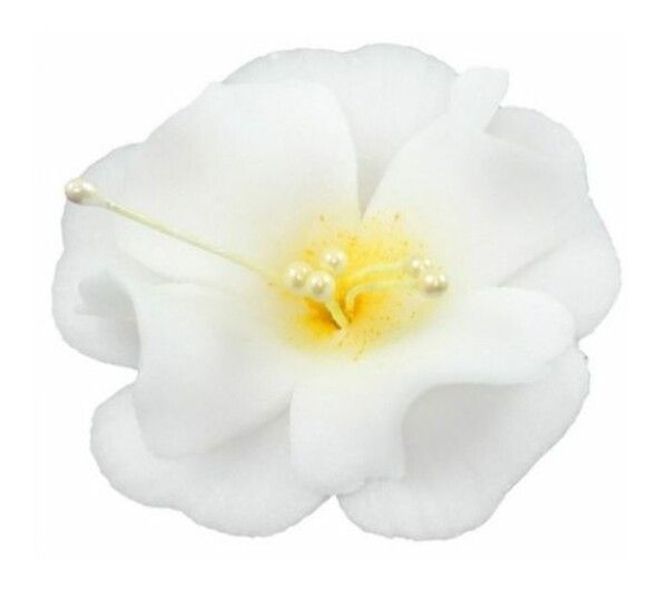 Cukrový kvet Magnólia bielo-medová malá 1ks