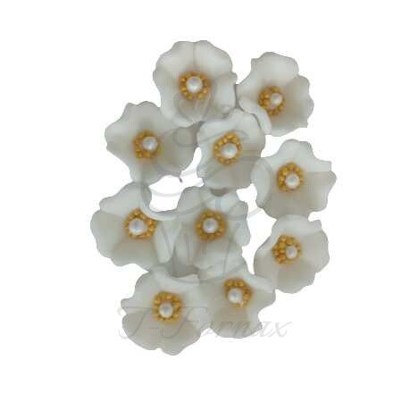 Cukrový kvet Topoľovka biela 10ks
