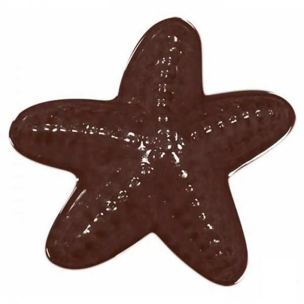 Forma na čokoládu B morské hviezdice 8
