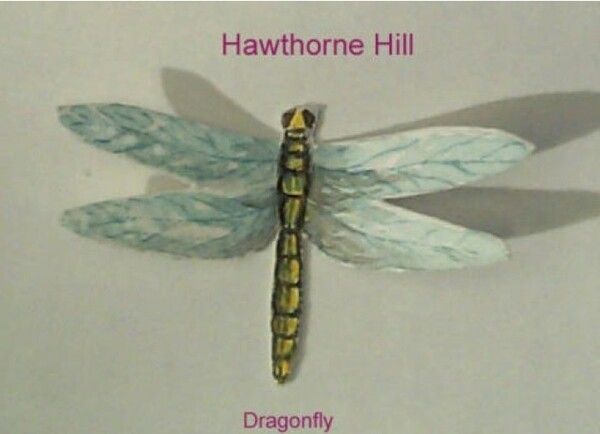 HH forma Vážka (Dragonfly)