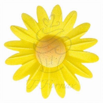 Oblátkový kvet Margarétka žltá 1ks