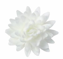 Oblátkový kvet Astra biela 5,5cm 1ks