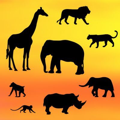 PC Safari (Safari silhouette)